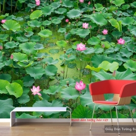Tranh dán tường phong cảnh ao sen h178