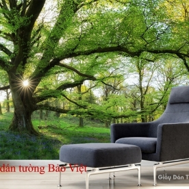 Tranh dán tường phong cảnh thiên nhiên Tr149