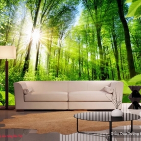 Tranh dán tường phong cảnh thiên nhiên màu xanh v086