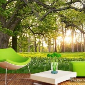 Tranh dán tường thiên nhiên Tr002