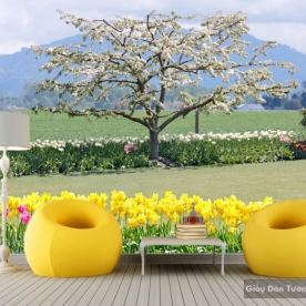 Tranh dán tường thiên nhiên Tr036