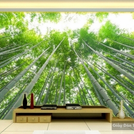 Tranh dán tường thiên nhiên Tr055