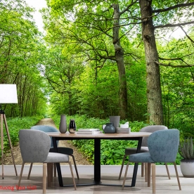 Tranh dán tường phong cảnh thiên nhiên tr305