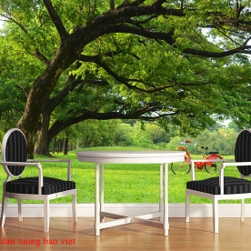 Tranh dán tường phong cảnh thiên nhiên tr314