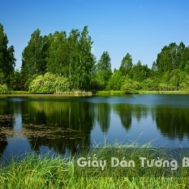 Tranh Giấy Dán Tường 3D Phong Cảnh Thiên Nhiên Sông Núi LK 1501-19