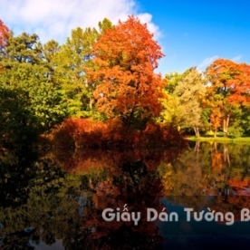 Tranh Giấy Dán Tường 3D Phong Cảnh Thiên Nhiên Sông Núi LK 1501-37