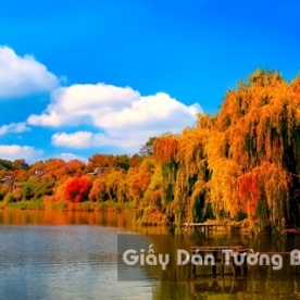 Tranh Giấy Dán Tường 3D Phong Cảnh Thiên Nhiên Sông Núi LK 1501-38