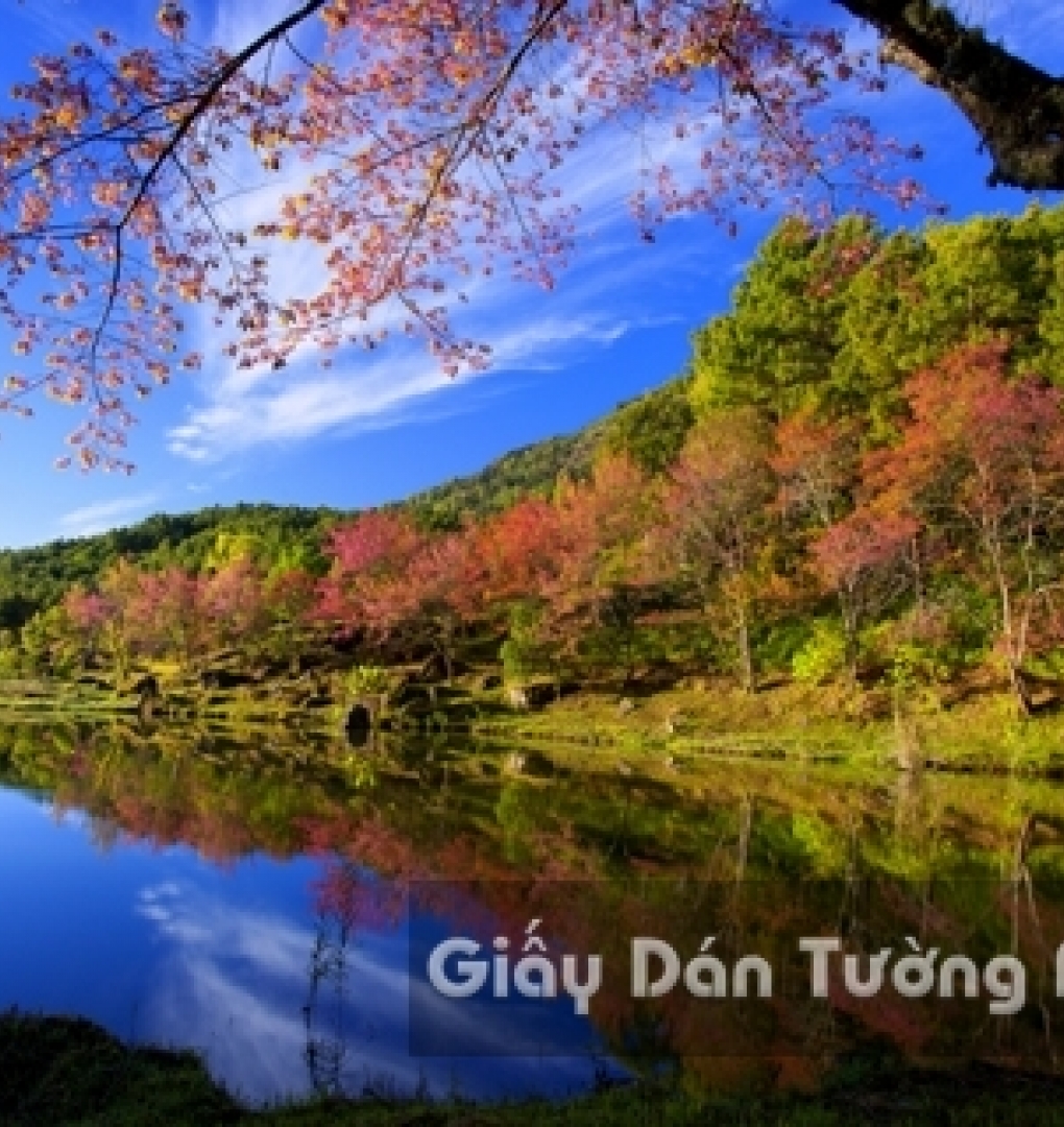 Tranh Giấy Dán Tường 3D Phong Cảnh Thiên Nhiên Sông Núi LK 1502-2