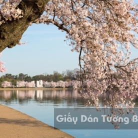 Tranh Giấy Dán Tường 3D Phong Cảnh Thiên Nhiên Sông Núi LK 1502-4