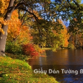 Tranh Giấy Dán Tường 3D Phong Cảnh Thiên Nhiên Sông Núi LK 1502-5